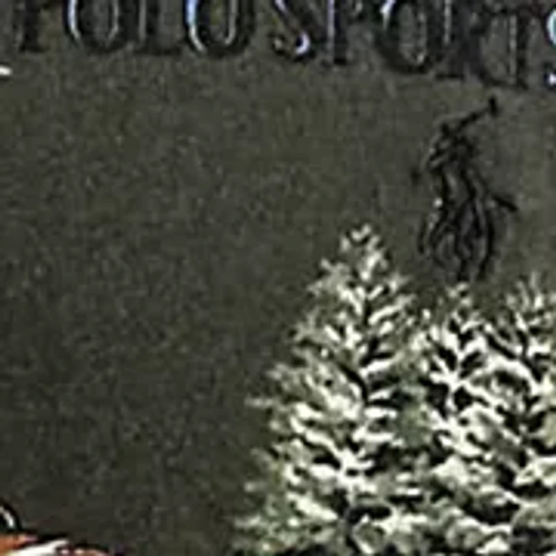 Classic Fit Polo Sportsman Shirt