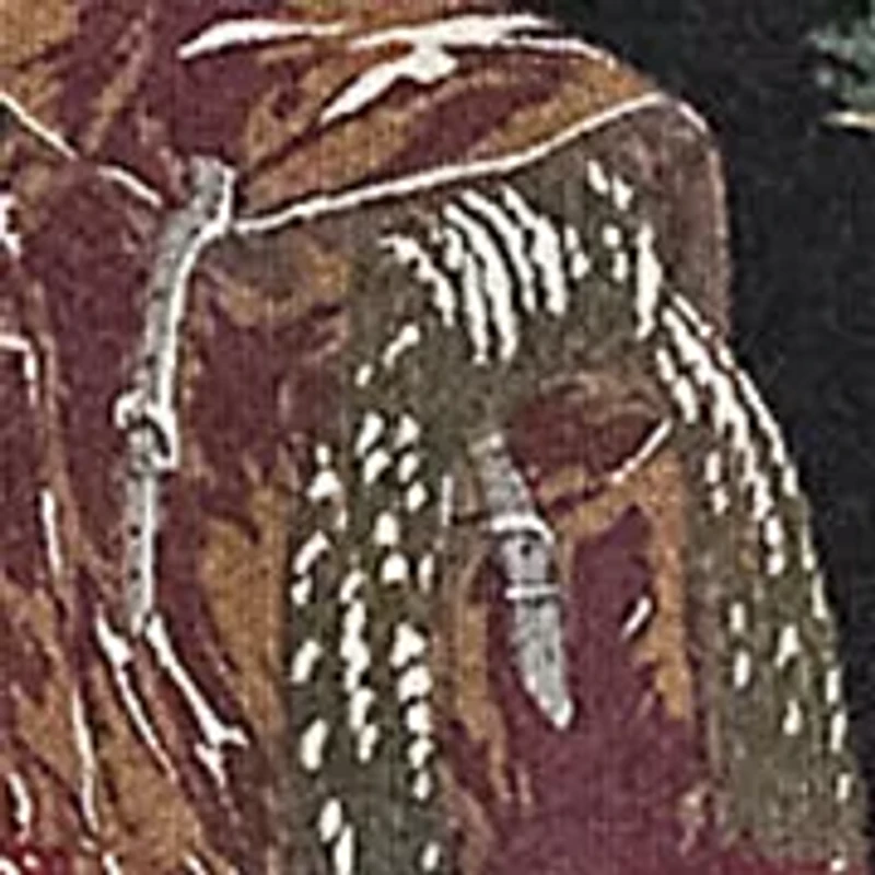 Polo Sportstman Fleece Hoodie