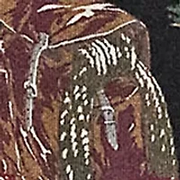 Polo Sportstman Fleece Hoodie