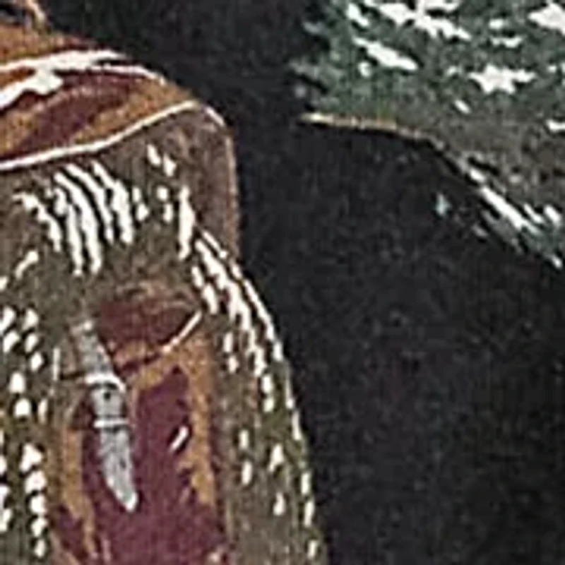 Polo Sportstman Fleece Hoodie