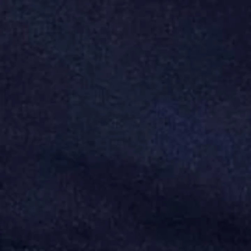 Logo Fleece Full-Zip Hoodie