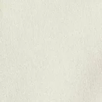 Polo Bear Fleece Hoodie