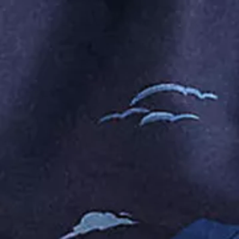 5.75" Inseam Traveler Polo Bear Swim Trunks