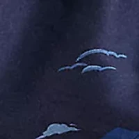 5.75" Inseam Traveler Polo Bear Swim Trunks