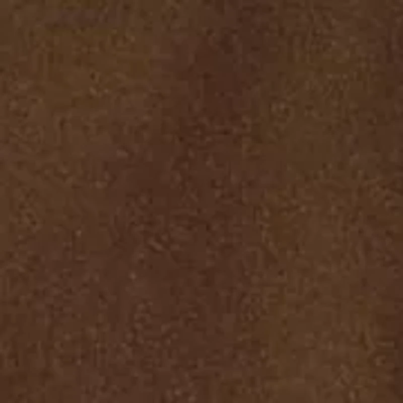 Men's RL Fleece Western-Logo Hoodie