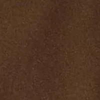 Men's RL Fleece Western-Logo Hoodie