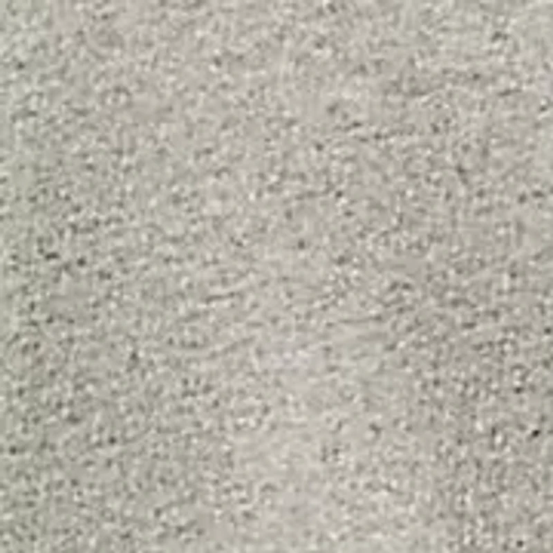 Polo Bear Fleece Sweatshirt