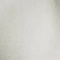 Polo Bear Fleece Hoodie