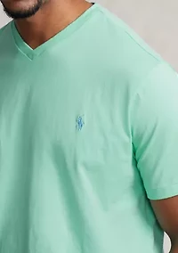 Big & Tall Jersey V-Neck T-Shirt