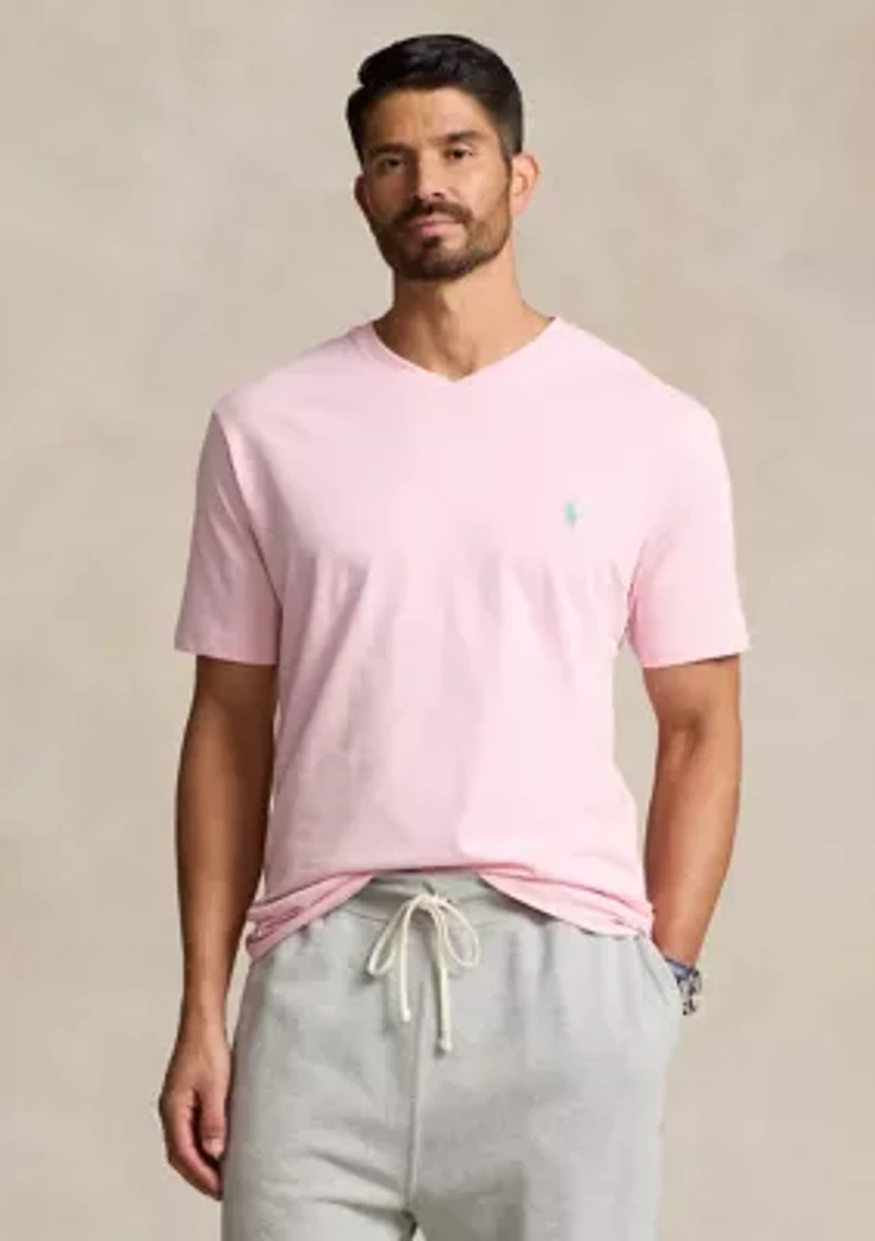 Big & Tall Jersey V-Neck T-Shirt