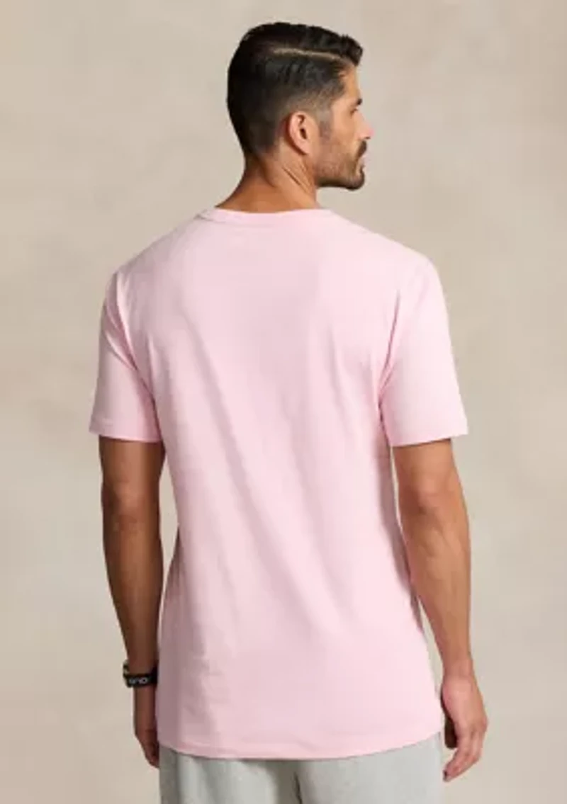 Big & Tall Jersey V-Neck T-Shirt