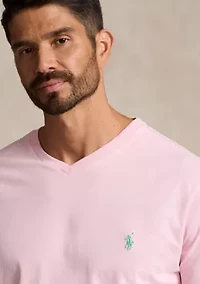 Big & Tall Jersey V-Neck T-Shirt