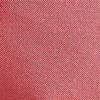 Big & Tall The Iconic Mesh Polo Shirt