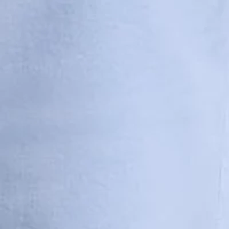 Big & Tall Stretch Classic Fit Chino Shorts