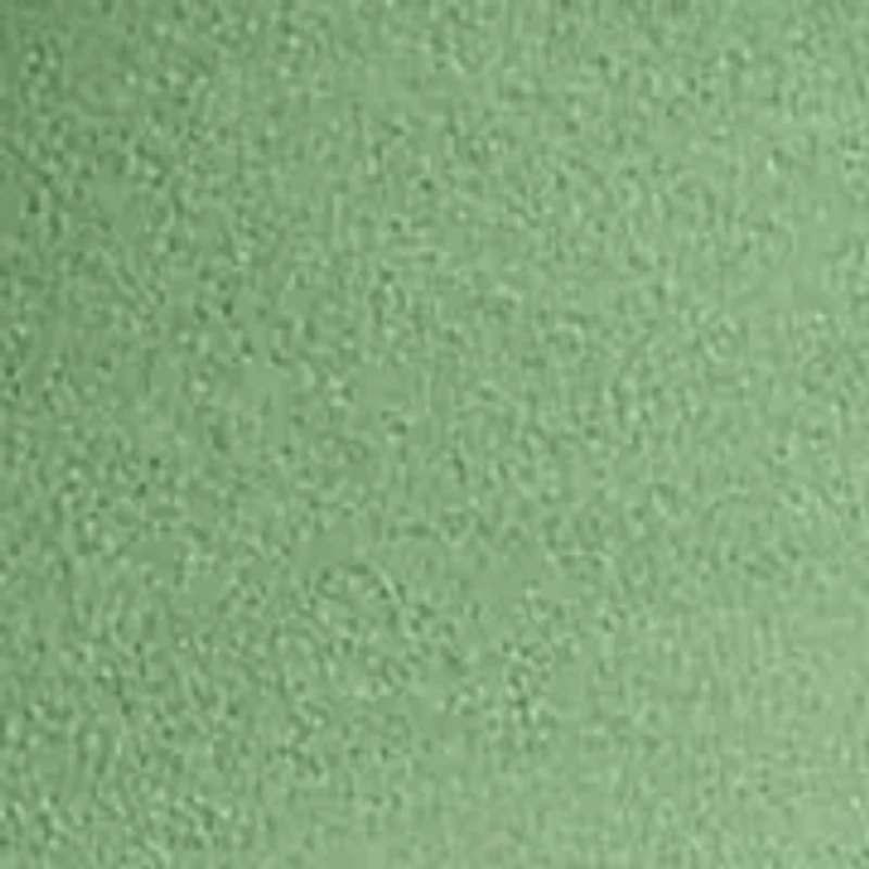 Big & Tall The RL Fleece Hoodie