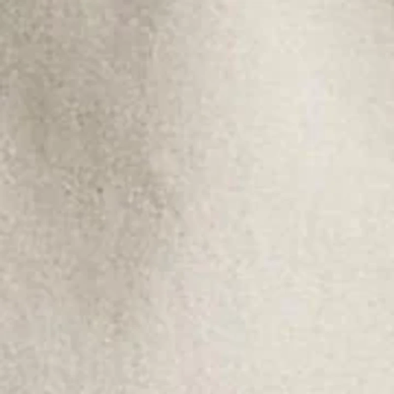 Big & Tall The Iconic Oxford Shirt