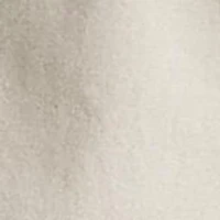 Big & Tall The Iconic Oxford Shirt