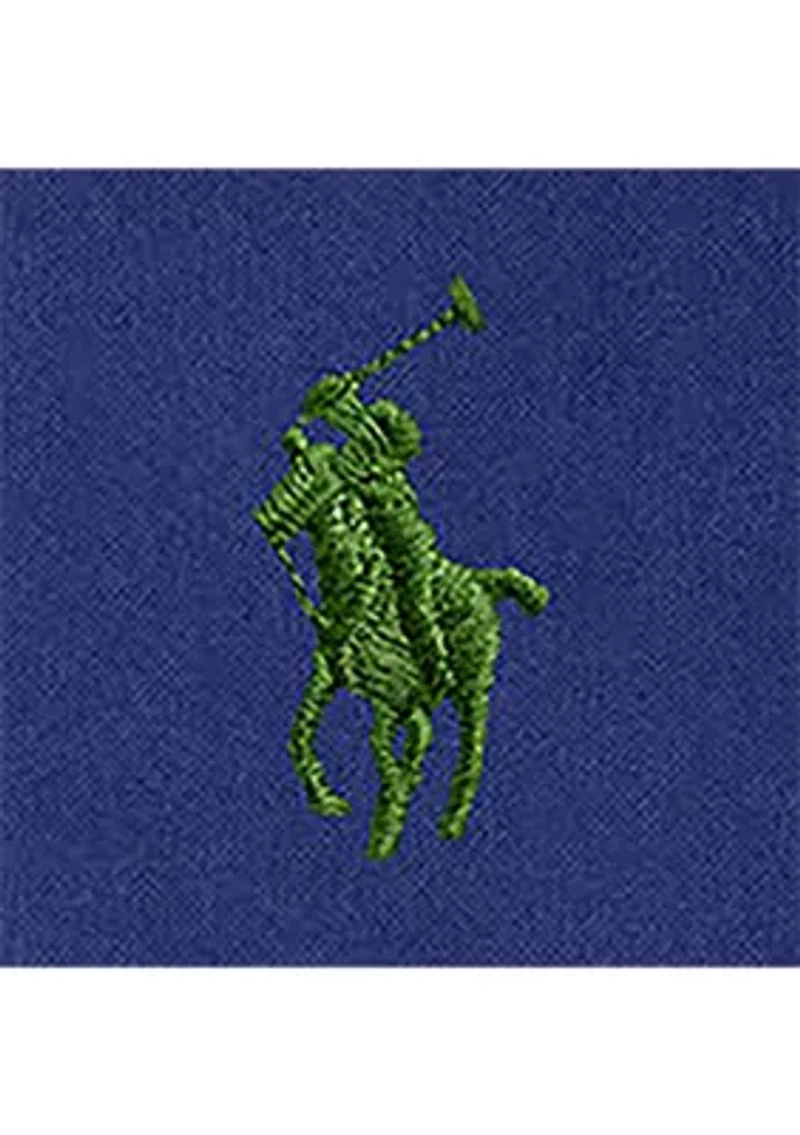 Big & Tall Garment-Dyed Oxford Shirt