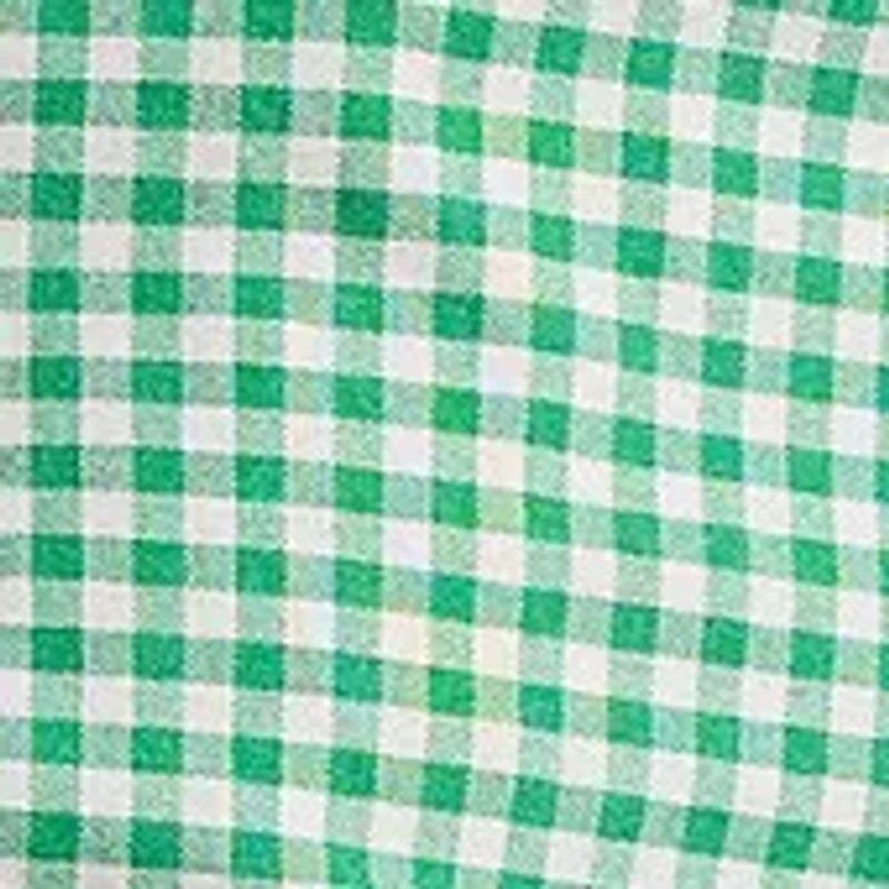 Big & Tall Gingham Oxford Shirt