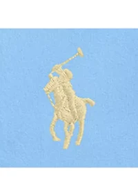 Big & Tall Garment-Dyed Oxford Shirt