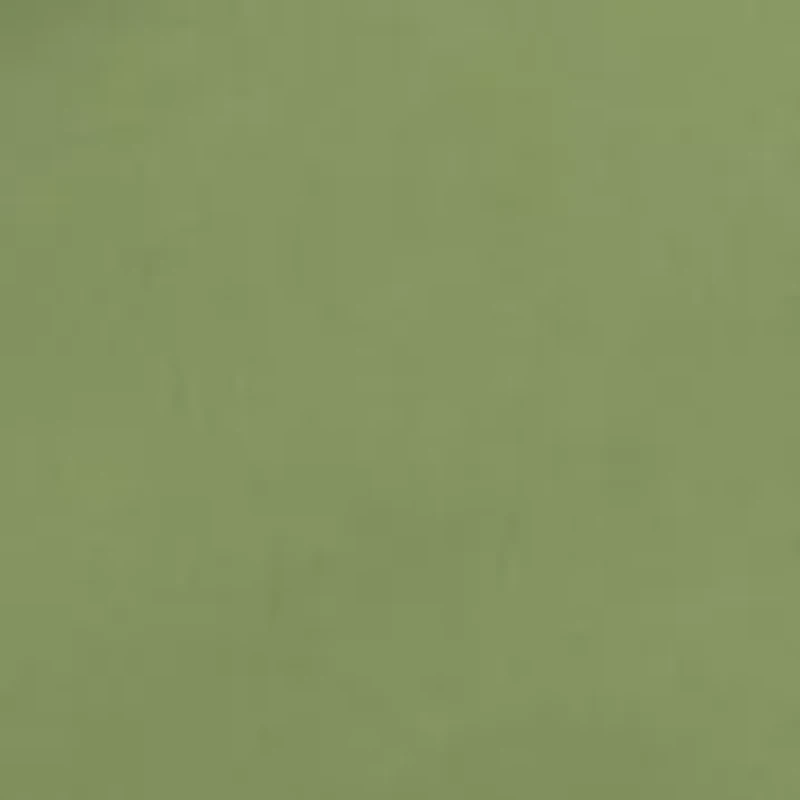 Big & Tall Kailua Swim Trunks