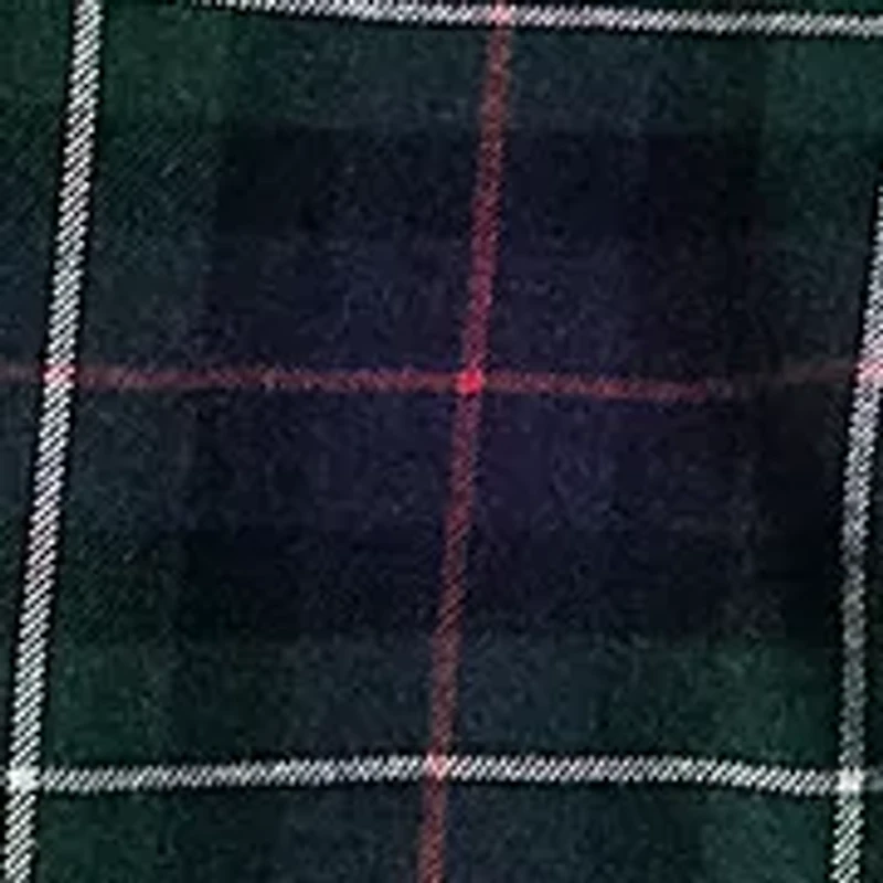 Big & Tall Plaid Twill Shirt