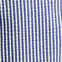 Big & Tall Printed Swim Trunks