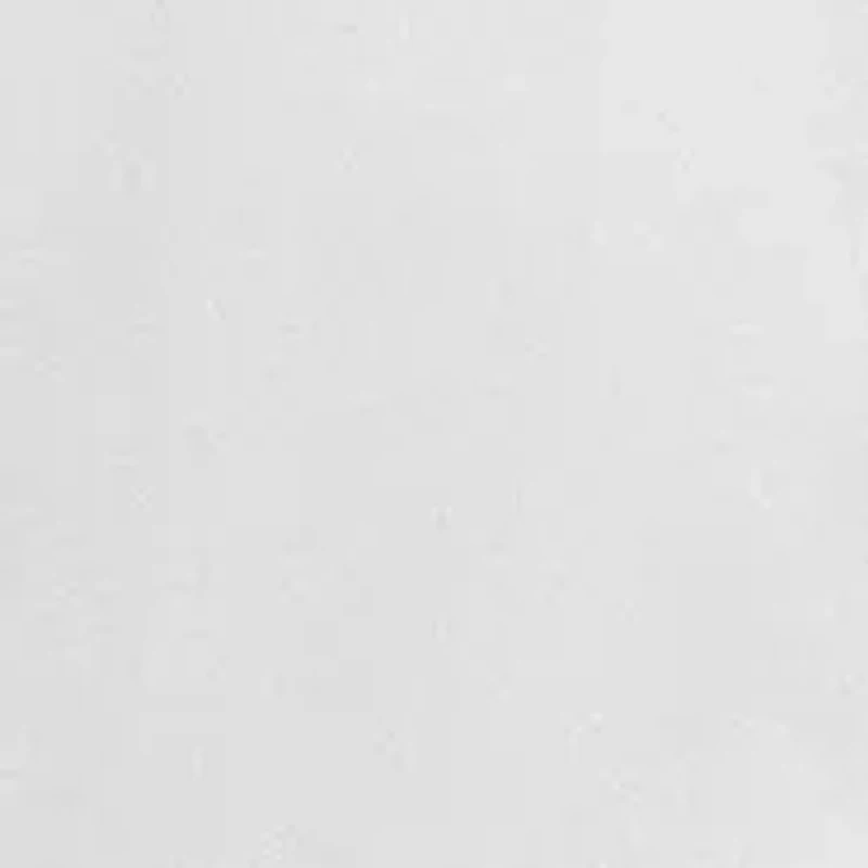 Big & Tall Performance Oxford Shirt