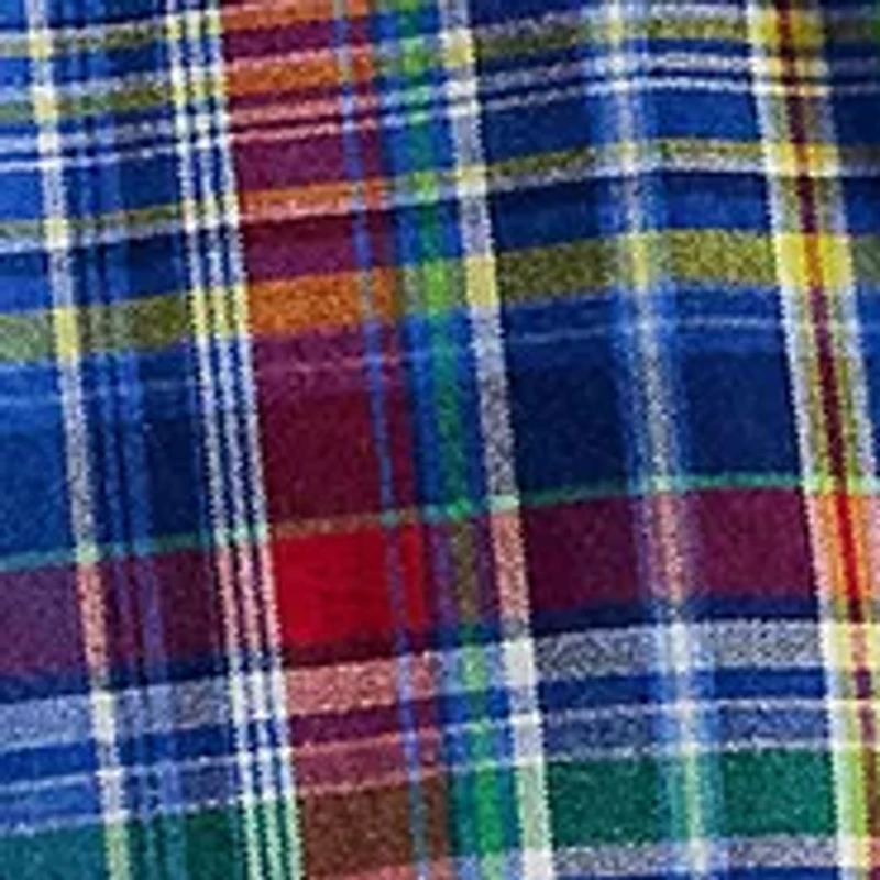Big & Tall Plaid Oxford Shirt