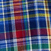 Big & Tall Plaid Oxford Shirt