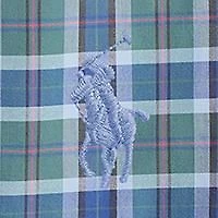 Big & Tall Plaid Oxford Shirt
