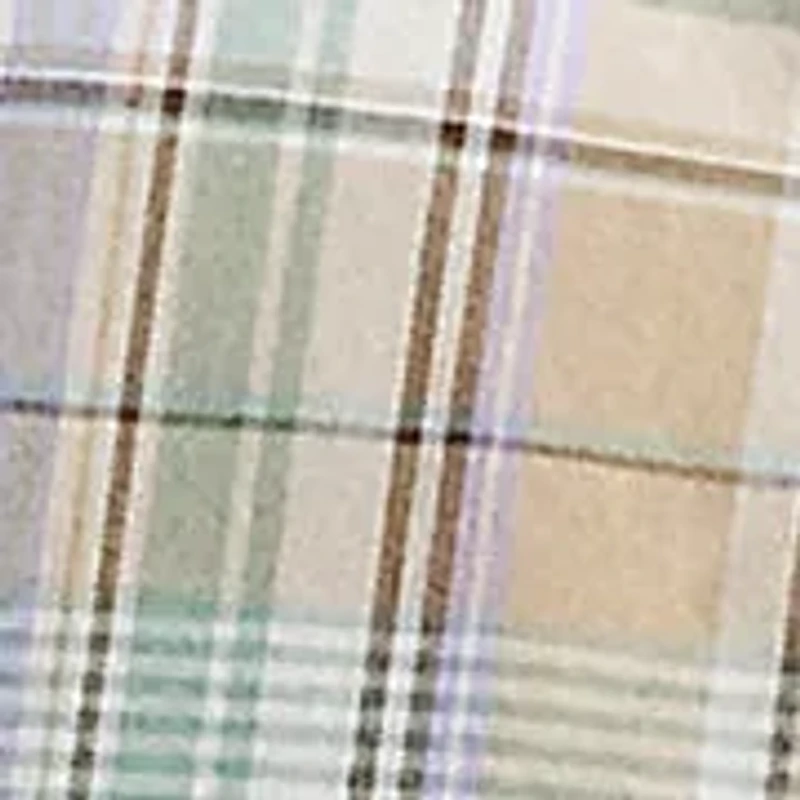 Big & Tall Plaid Oxford Shirt