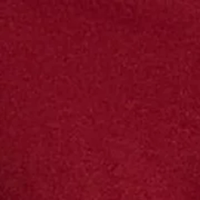 Big & Tall Polo Bear Jersey Hooded T-Shirt