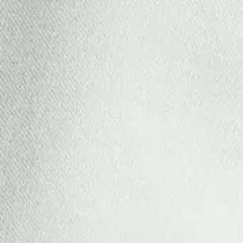 Big & Tall Loopback Fleece Graphic Hoodie