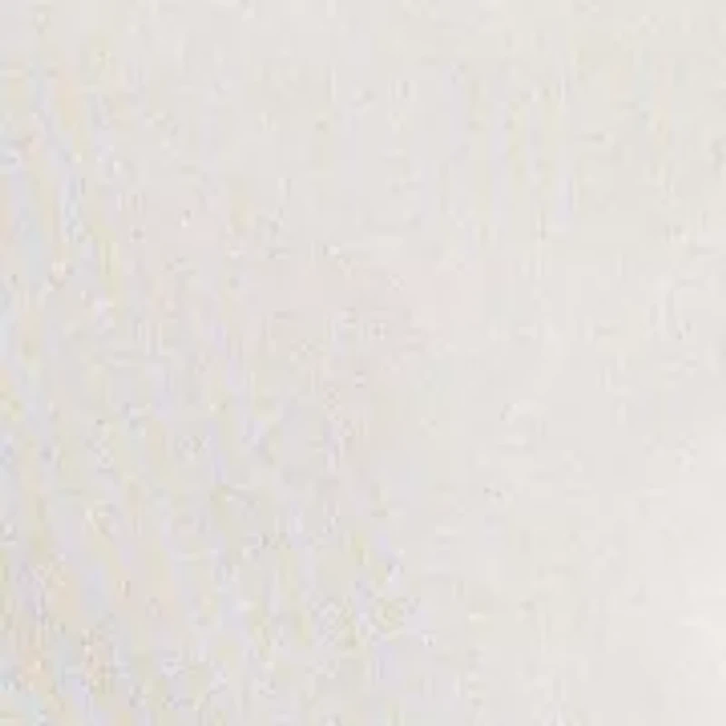 Big & Tall Polo Bear Jersey T-Shirt