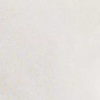 Big & Tall Polo Bear Jersey T-Shirt