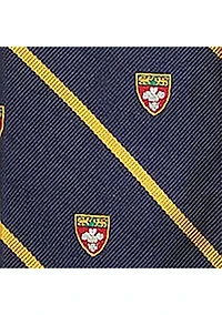 Striped Silk Narrow Club Tie