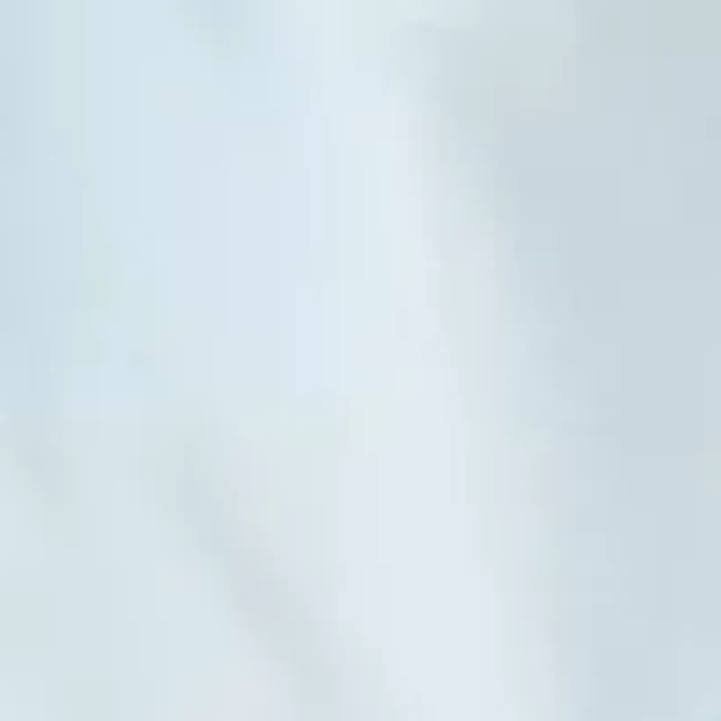 Big & Tall Performance Shorts