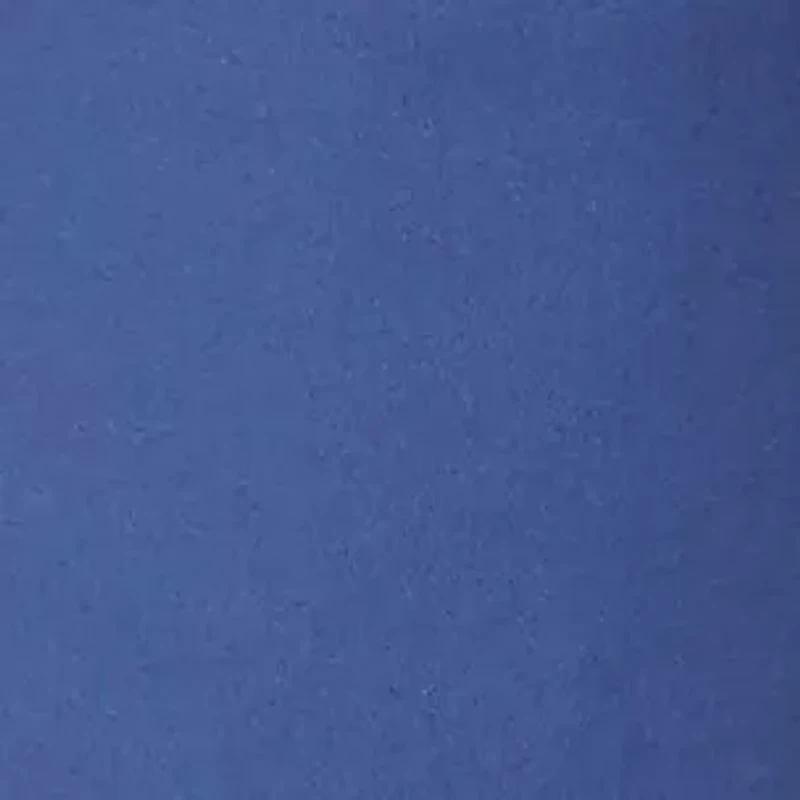 8.5" Flat Front Deck Shorts