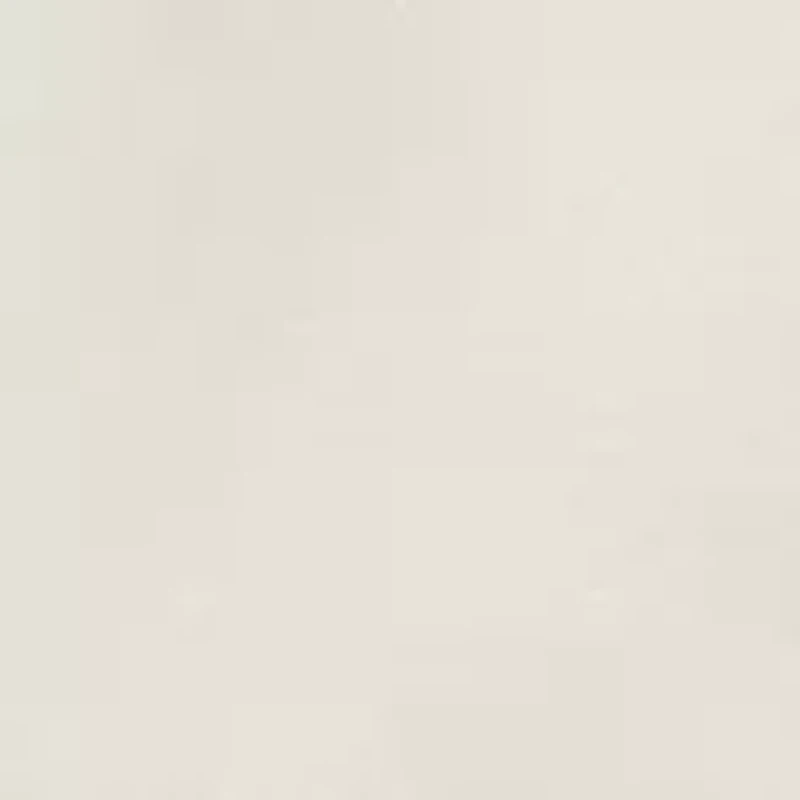 8.5" Flat Front Deck Shorts