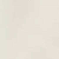 8.5" Flat Front Deck Shorts