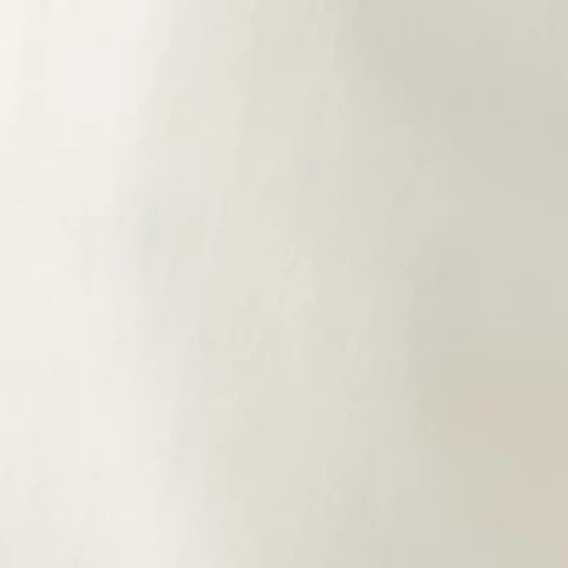 Big & Tall Anchor 8.5" Flat Front Deck Shorts