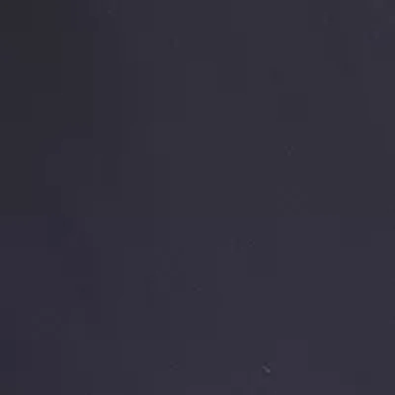 Big & Tall Performance Shorts