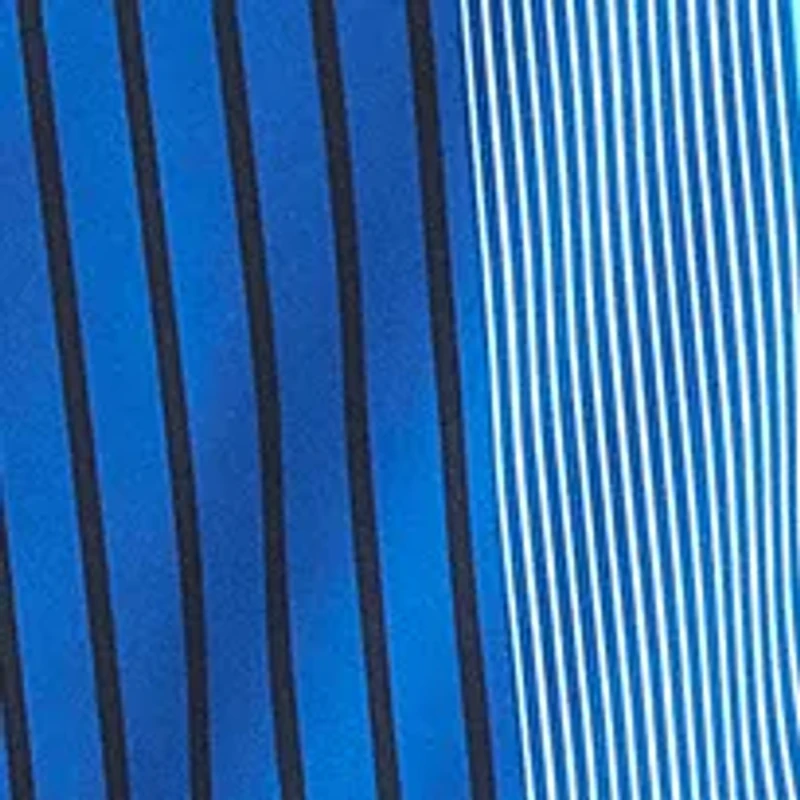 Big & Tall Flag Printed Swim Trunks with Liner