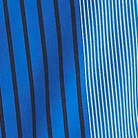 Big & Tall Flag Printed Swim Trunks with Liner