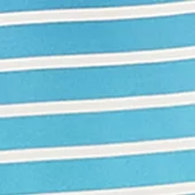 Big & Tall Sustainably Crafted Ombré Striped Lined Swim Shorts