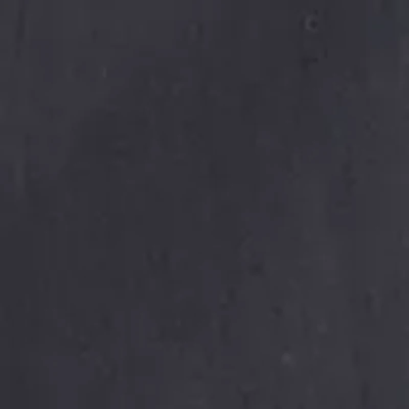 Big & Tall Quick Dry Swim Trunks