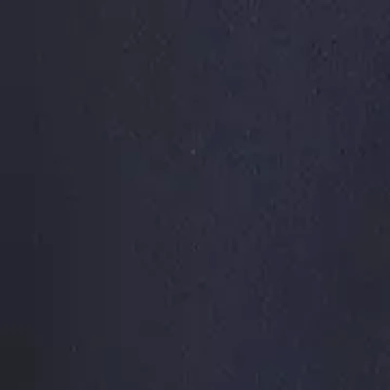 Full Zip Logo Hoodie Fleece Jacket