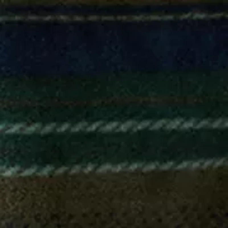 Men's Printed Polar Fleece Button Shirt