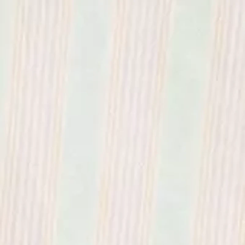 Big & Tall Oxford Striped Short Sleeve Shirt